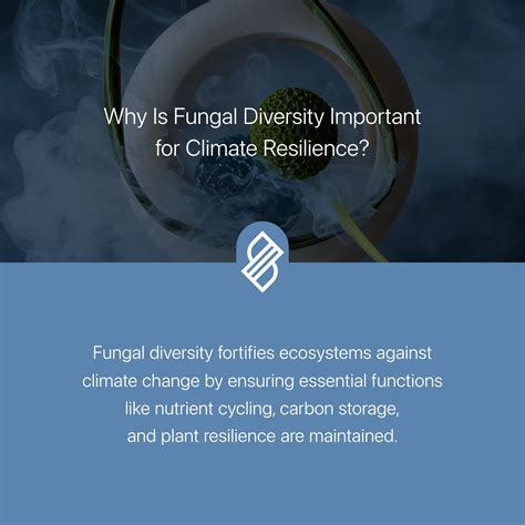 Why Is Cultural Diversity Important for Sustainability? → Question