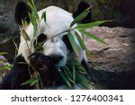 Image result for SJF Scheduling Algorithm Example