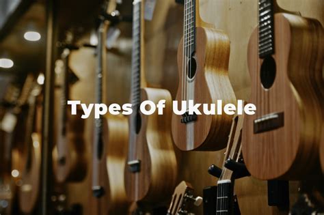 Ukulele Hello Music Theory | Learn To Read Music