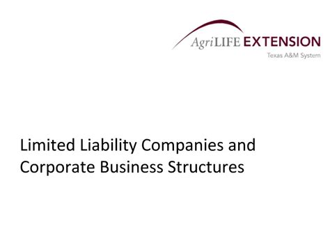 Limited Liability Corporation 的图像结果