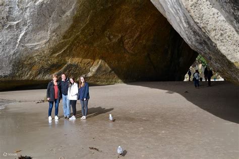 Summer Coromandel Day Tour From Auckland - Klook India
