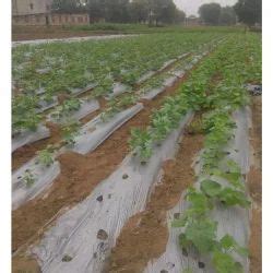 Trader - Wholesaler / Distributor of Drip Irrigation Pipe by Shakti ...