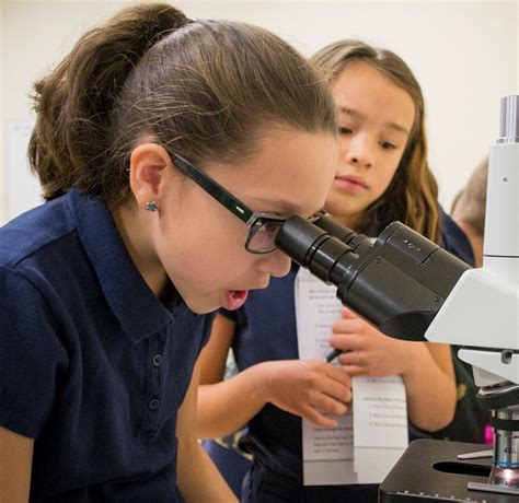 Image result for Student Center Learning