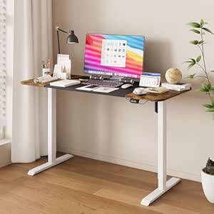 ADVWIN Electric Standing Desk,Ergonomic Sit Stand Desk Height ...