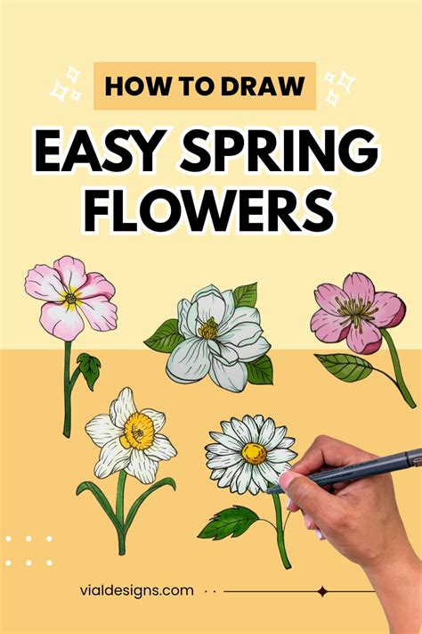 Image result for Step by Step Spring Drawing