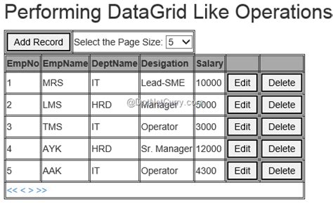 Primer DataGrid Web Python 的图像结果