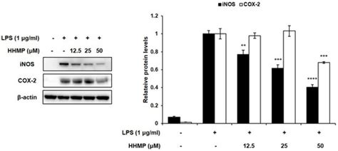 Anti-Inflammatory Activity of 4-((1R,2R)-3-Hydroxy-1-(4-hydroxyphenyl ...