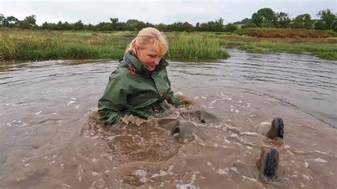 Image result for Waders in Mud Compilation
