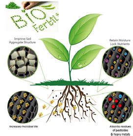 Biofertilizers 的图像结果