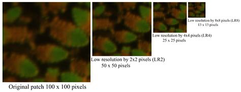 Multi-Resolution Weed Classification via Convolutional Neural Network ...