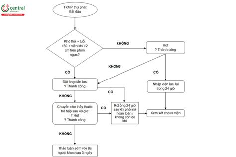 Using Visual Studio C 的图像结果