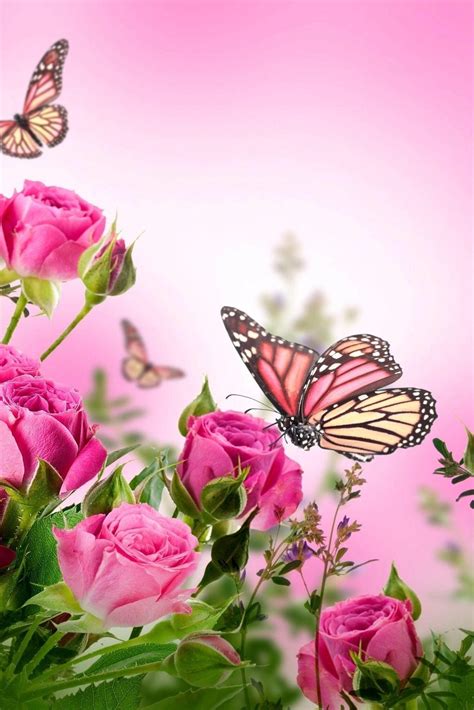 Pink Flower Butterfly Wallpapers - Top Free Pink Flower Butterfly ...