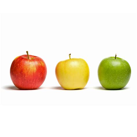 10 Engaging Apple Activities for Kindergarten - Teaching Exceptional ...
