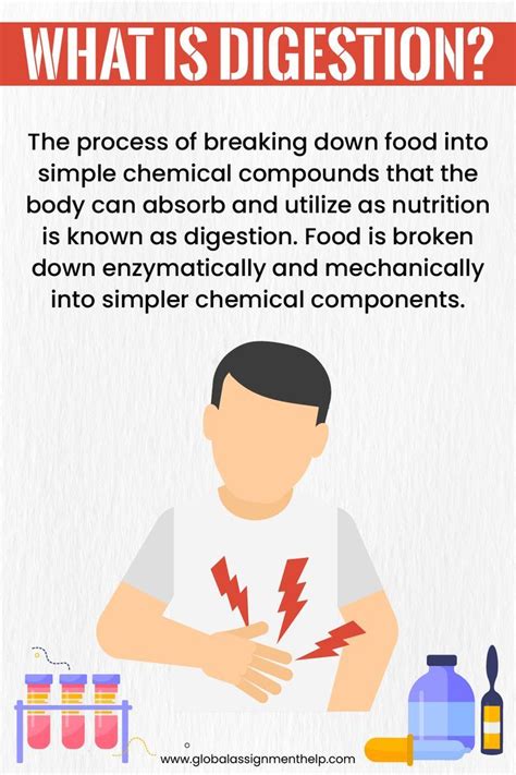 Science Homework Help 的图像结果
