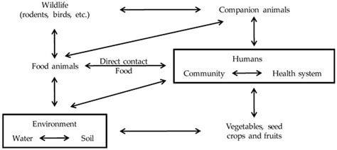 Bacteria from Animals as a Pool of Antimicrobial Resistance Genes