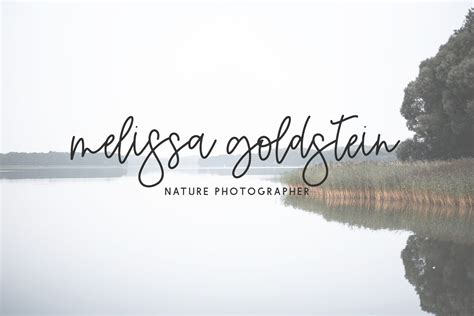 Image result for Calamity Script Roblo