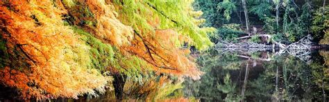 Hôtel restaurant 3 étoiles Chanas | Campanile