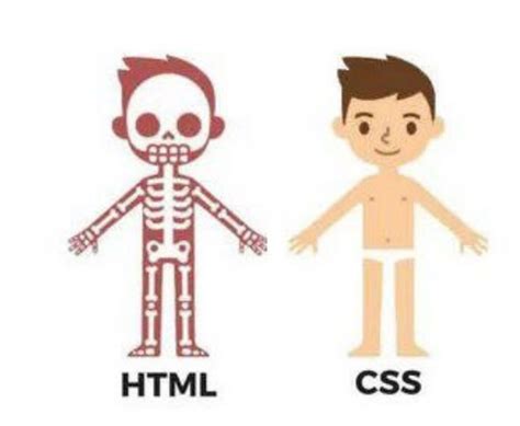 Image result for Estilos CSS Tutorial