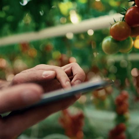 Source Collection Graph API 的图像结果