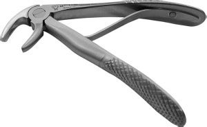 TRUST & CARE Stainless Steel Extraction Forcep Lower Premolars (Peedo ...