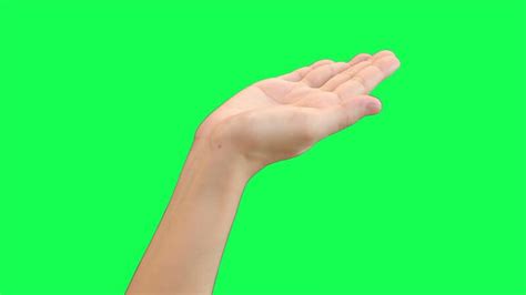 Camera Hand Greenscreen 的图像结果
