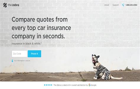 Image result for Zebra Compare Car Insurance