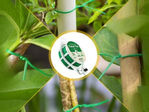 TASMAX Twist and tie Wire Cutter 50 MTR Tying Thread Garden Tools stem ...