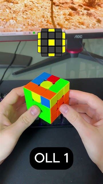 Oll Tutorial 的图像结果