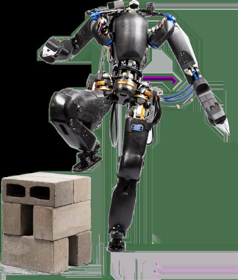 Humanoid Robotics Project 的图像结果