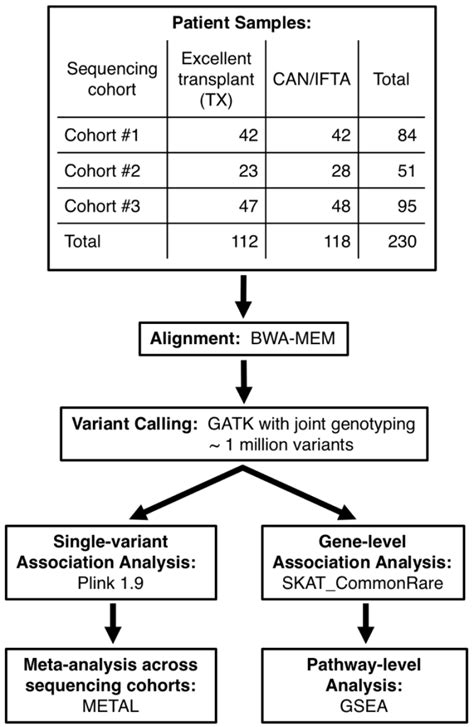 Image result for Sample Analysis