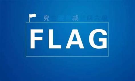 flag是什么意思中文-养哇教育