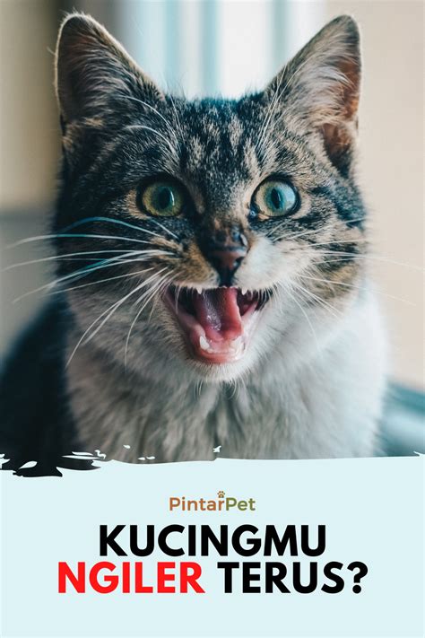 cara mengatasi agar tidak buang air kecil terus menerus