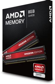 AMD Memory 的图像结果