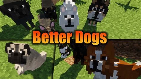 Image result for Copious Dogs Mod Install 1 7 10