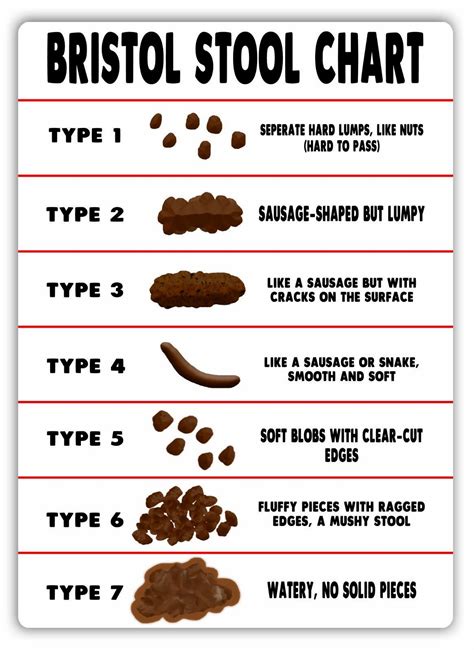 Free Printable Bristol Stool Chart Type 1 Has Spent The Longest Time In The Bowel And Type 7 The ...