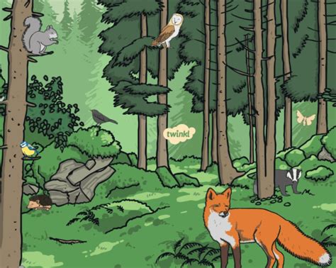 Image result for Habitat Example