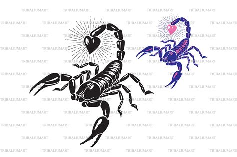 Scorpion with Heart Graphic by TribaliumArt · Creative Fabrica