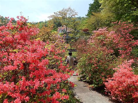 Takehisa Yumeji Atelier (Takasaki) - All You Need to Know BEFORE You Go