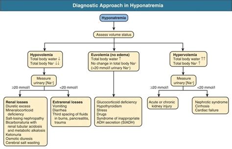 Hyponatraemia: Causes and Treatment Approach