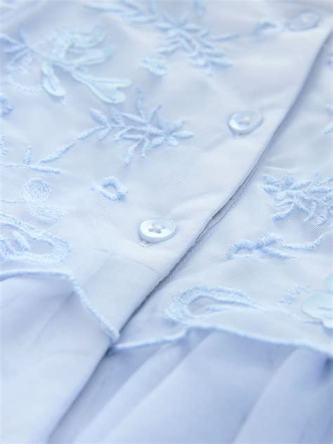 Buy Pale Blue Embroidered Mesh Dress (3mths-8yrs) from Next India
