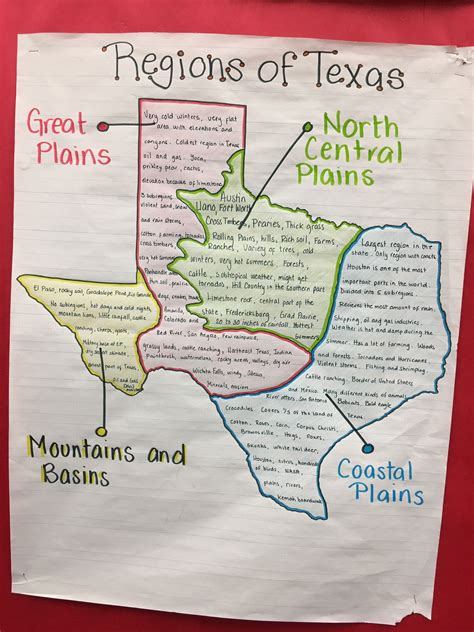 Regions Of Texas Worksheets