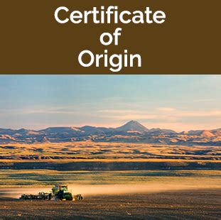 Image result for Export Certification Label