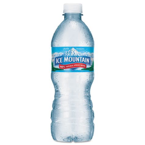 Ice Mountain 621099 Natural Spring Water, 8 oz Bottle, 48/Carton ...