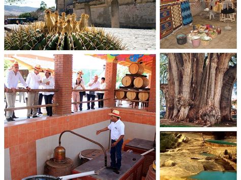 SIENTE OAXACA - All You Need to Know BEFORE You Go 2026 (with Photos ...