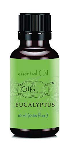 OLFA Essential Oils 10 ml Pack (Eucalyptus) : Amazon.in: Health ...