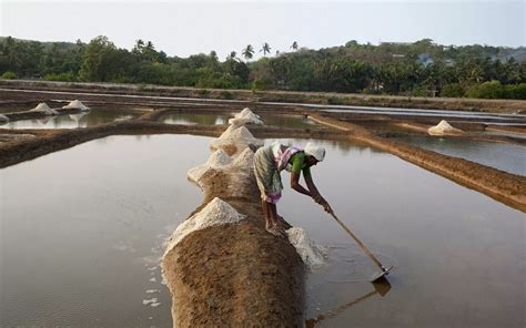 Karnataka Is Home To Its Very Own Rann Of Kutch And Has Been Producing ...
