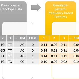 Image result for Genotype Frequency Analysis
