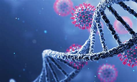 Viral Vector and Plasmid DNA Manufacturing Market