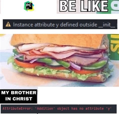 Image result for Python Just a Nick