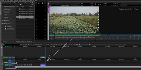 Image result for Avid Audio Editing Tutorial